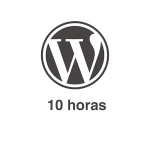 Paquete 10 horas especialista Wordpress