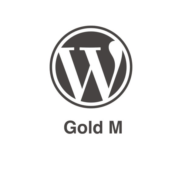 Pack mantenimiento Wordpress Gold M