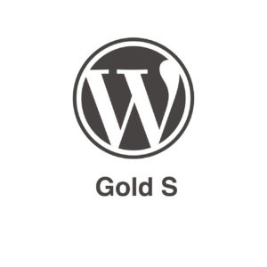 Pack de mantenimiento Wordpress semestral Gold S