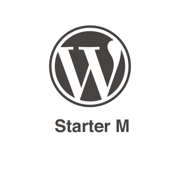 Pack de mantenimiento Wordpress Starter M