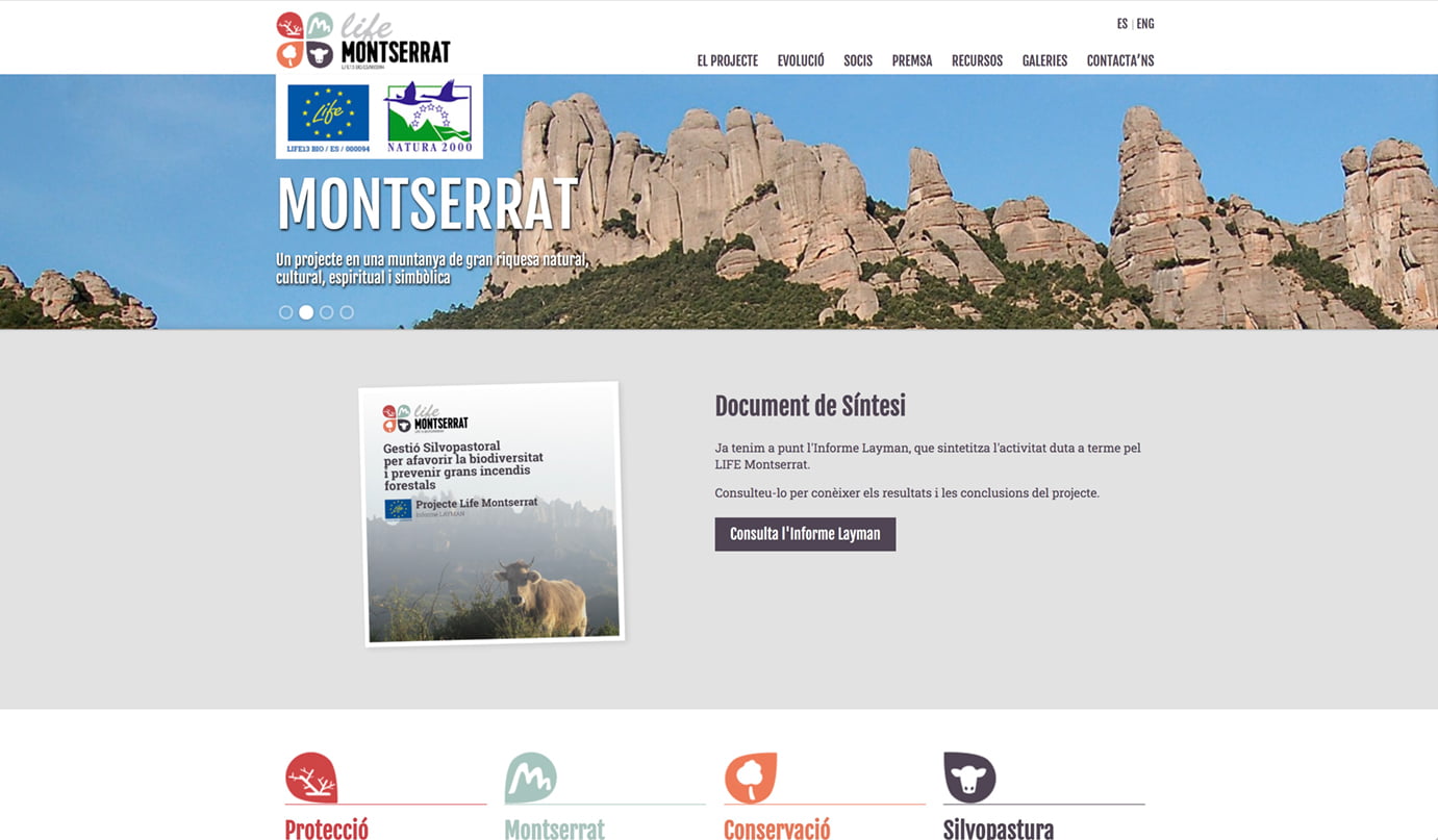 Mantenimiento web Life Montserrat